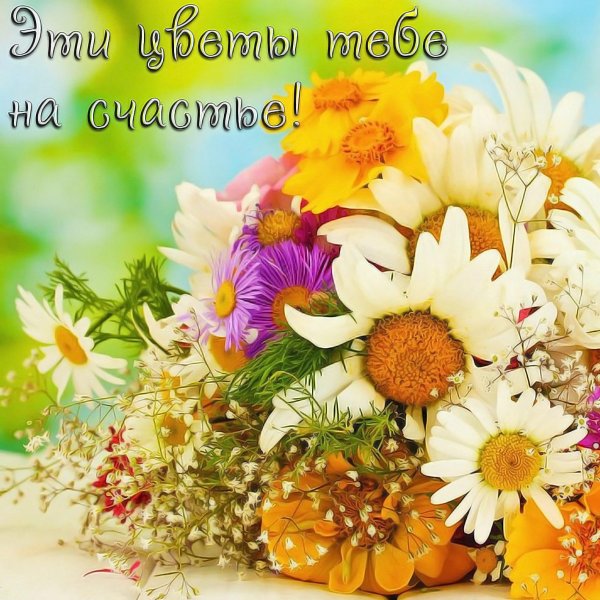 ромашка букет