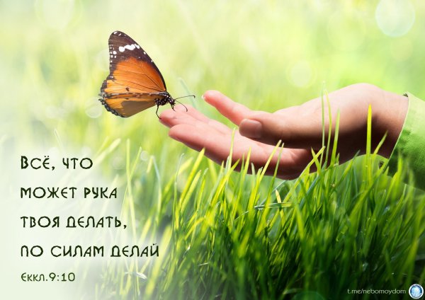 всё в твоих руках