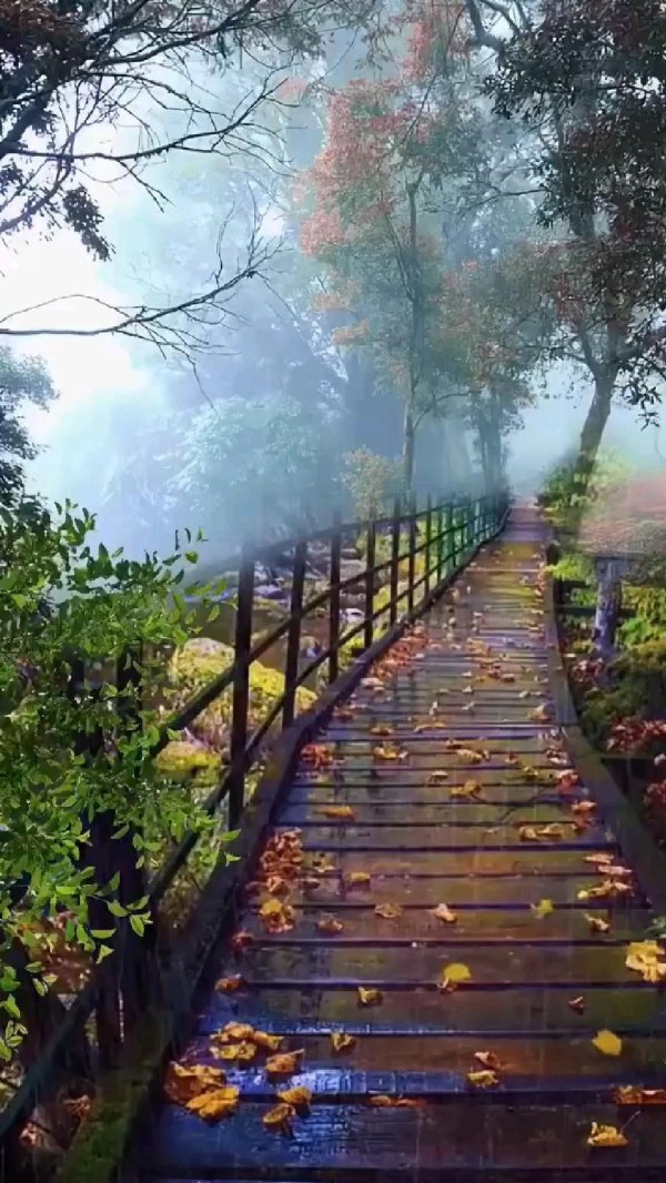 осени пейзаж