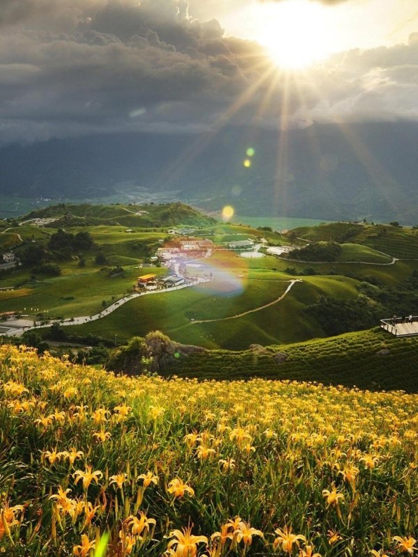 альпийские луга новая зеландия