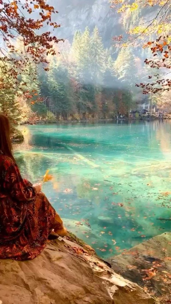 живописные пейзажи