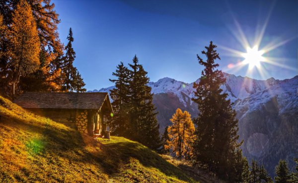 швейцария альпы лес