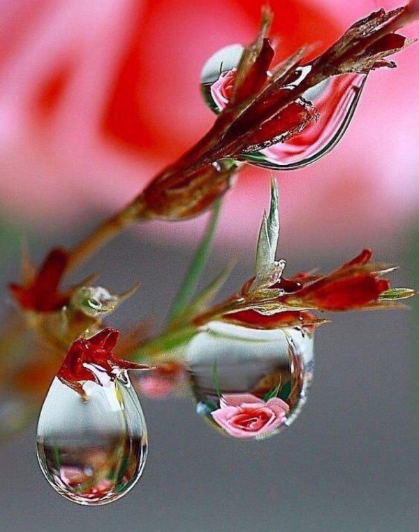 прекрасные мгновения жизни