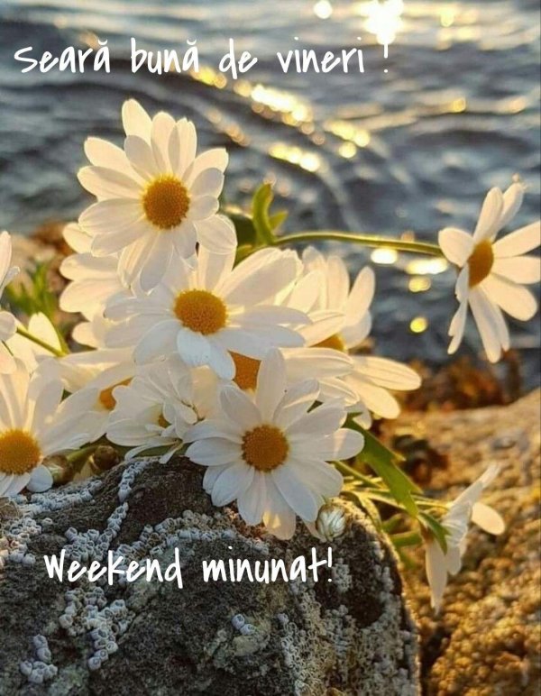 летнего вечера