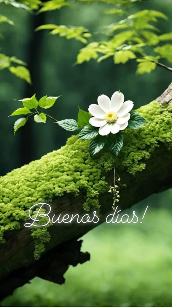 цветок весенний