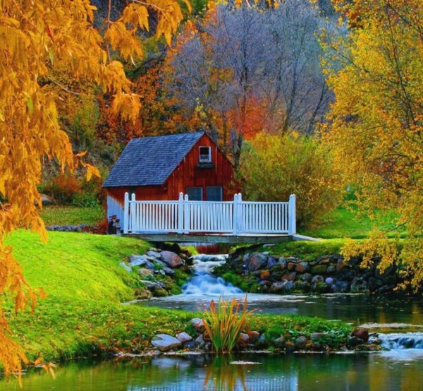 природа дома