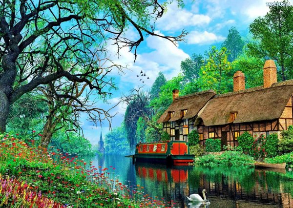 доминик дэвисон