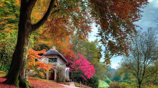 осень в саду