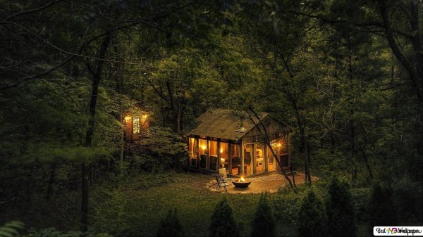 дом в лесу