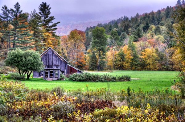 пейзаж с домиком