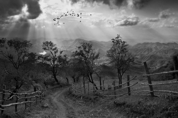 долина реки снейк ансель адамс 1942