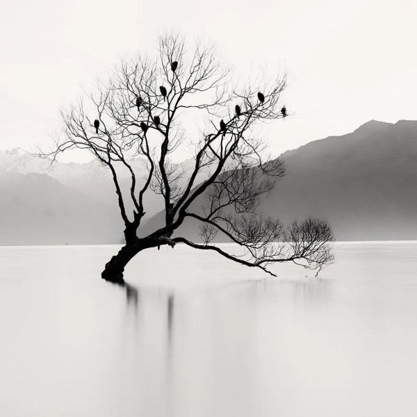 майкл кенна