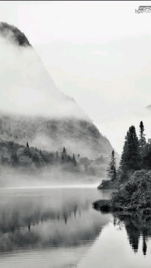 гора в тумане