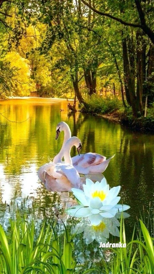 красота природа