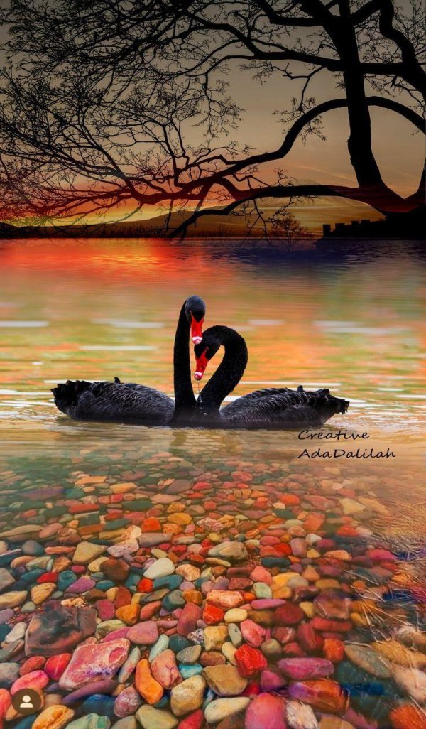 живописные пейзажи