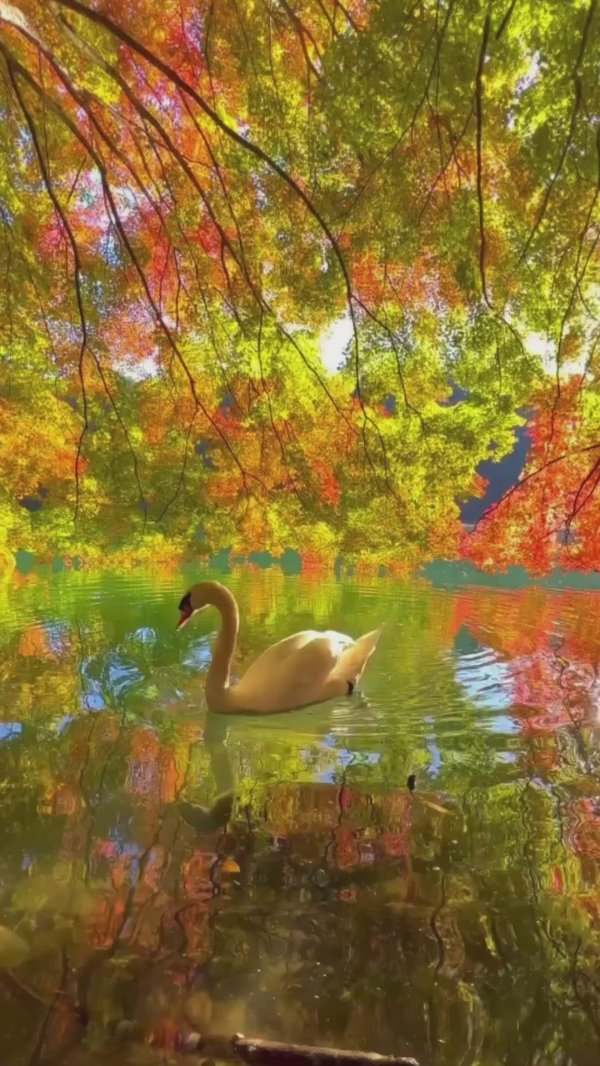 осенние пейзажи