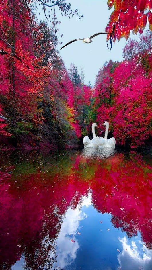 удивительная природа