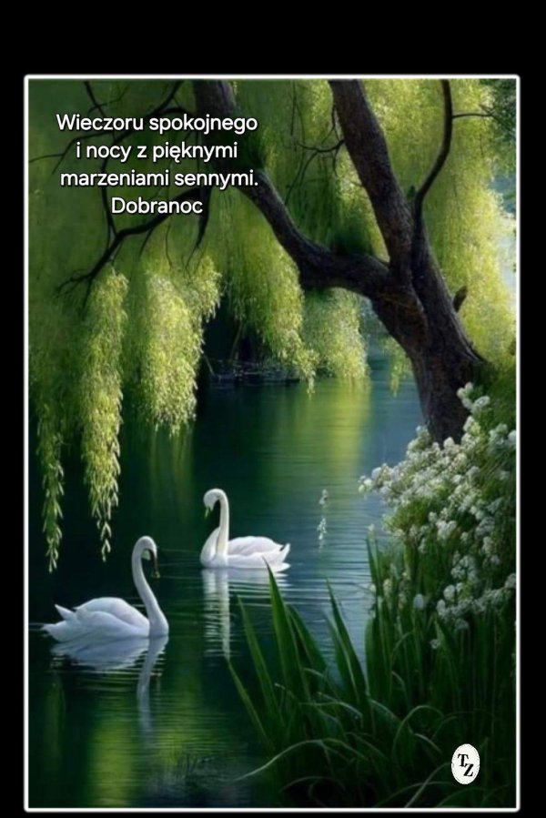 озеро лебедь