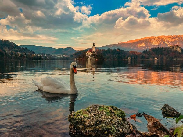 озеро bled словения