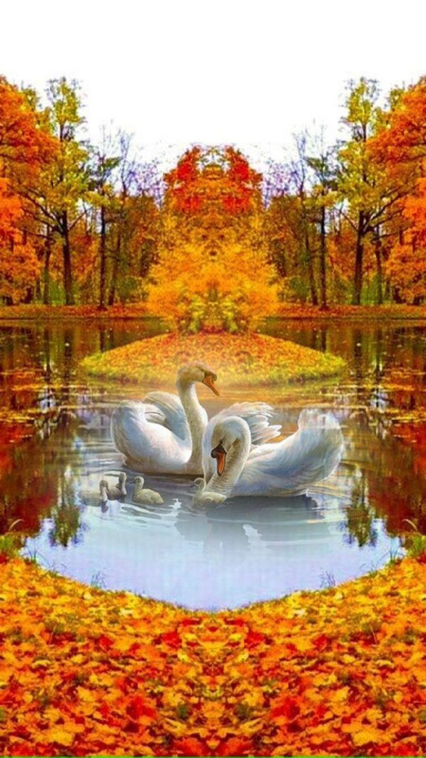 осенние пейзажи