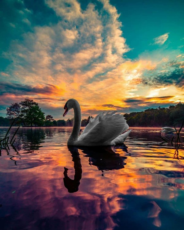 красота природа