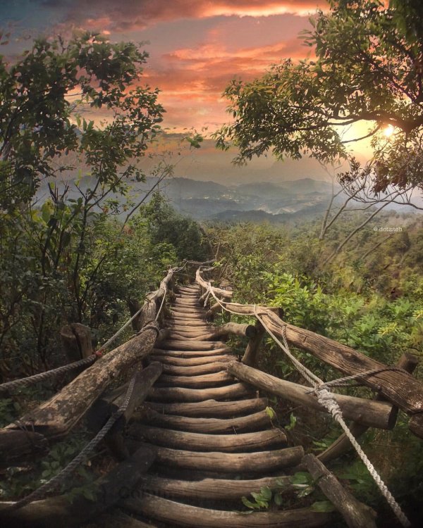 красивые места в джунглях