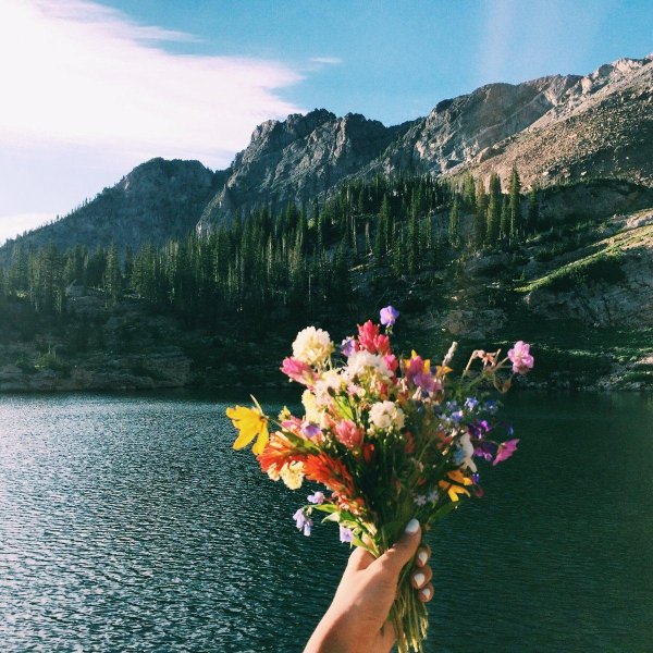 шикарный букет на природе