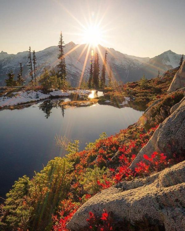 красивые фото природы