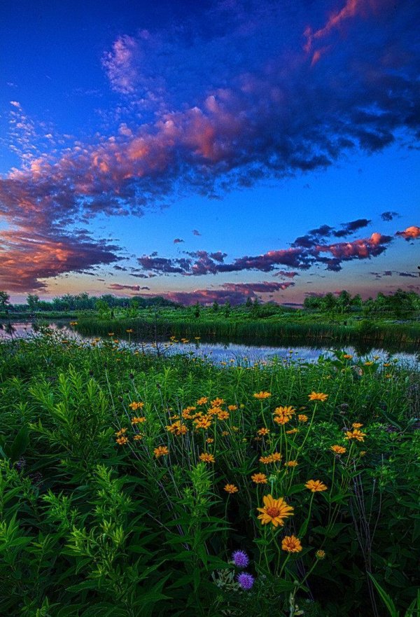 яркие фото природы