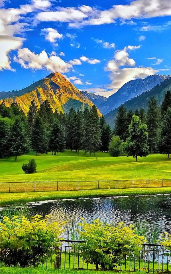 табиат манзараси