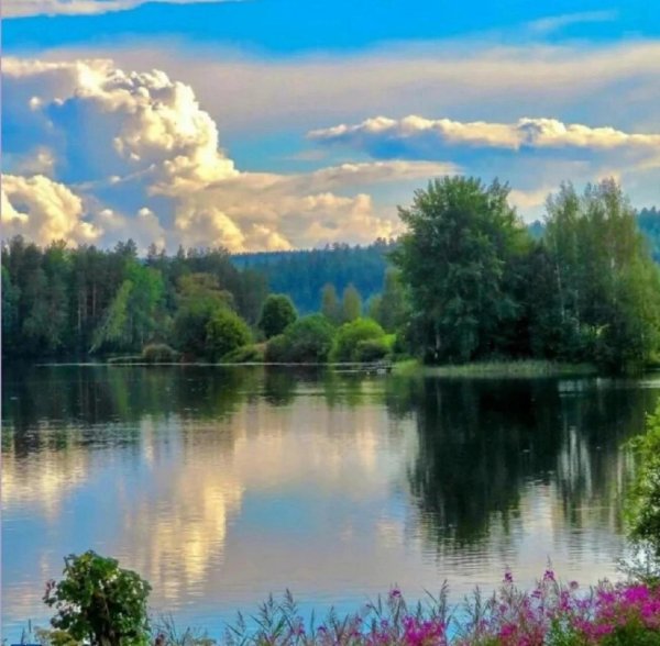 пейзажи летние