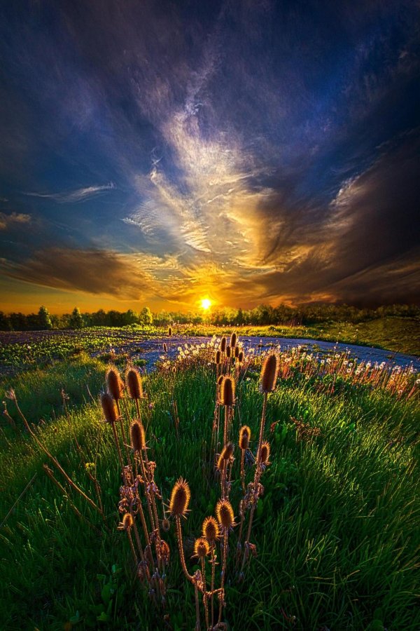 природы вдохновение