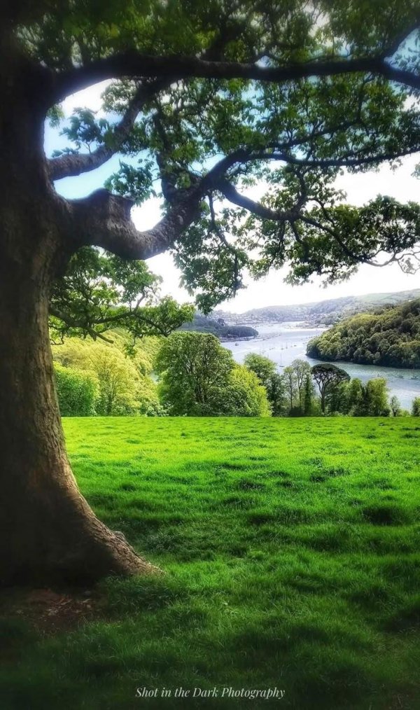 amazing natural images