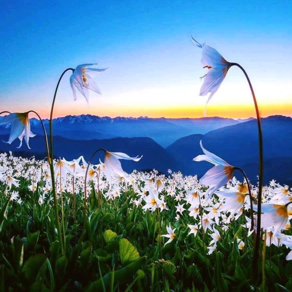 мир прекрасен