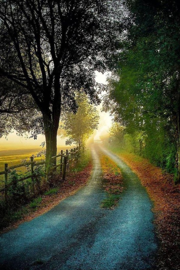 дорога рассвет