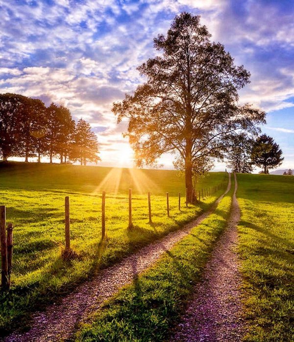 пейзажи летние