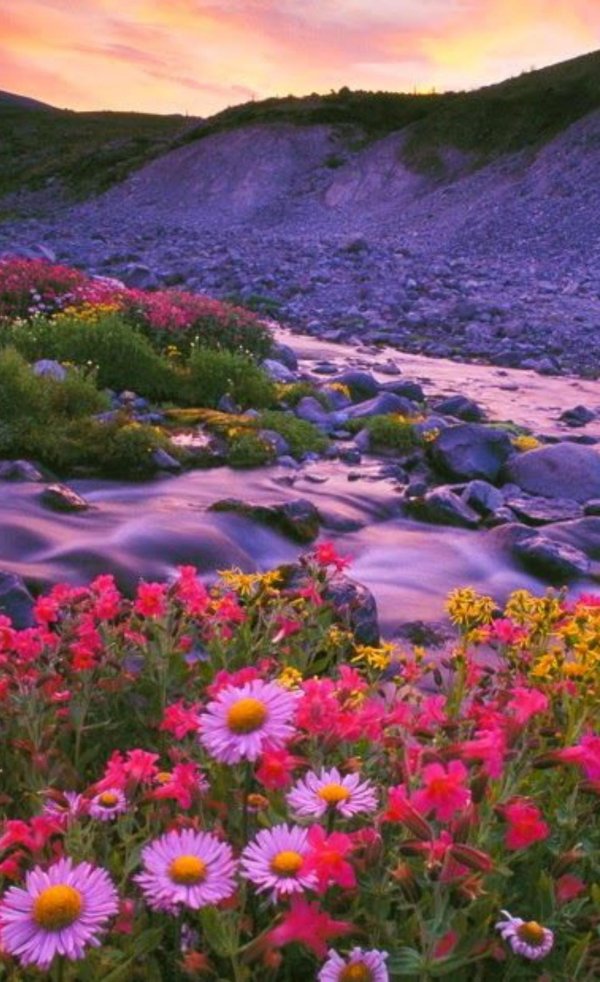 цветущий рай