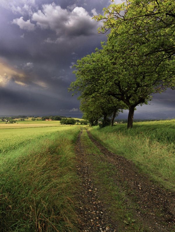 проселочная дорога