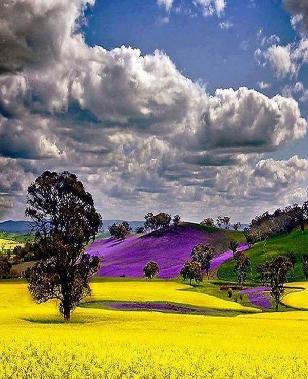 яркие пейзажи