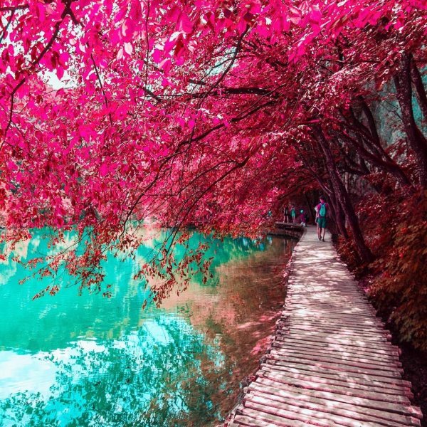 пейзаж яркий