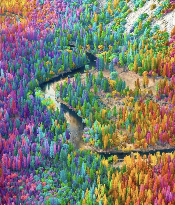 рамзи масри художник