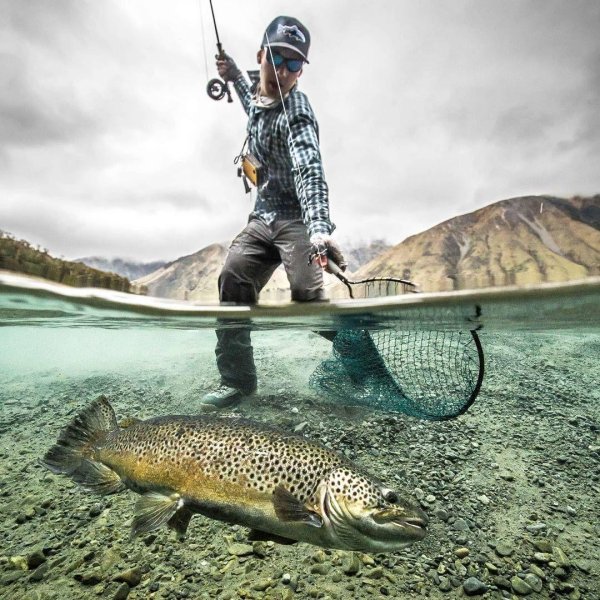 озерная форель кумжа