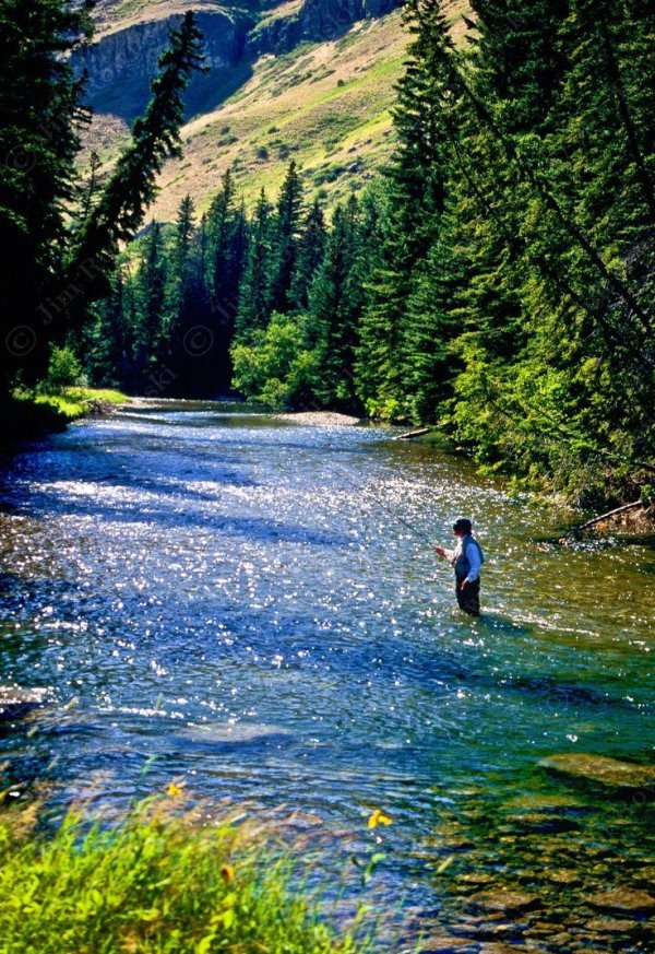 горная река