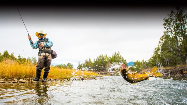 рыболовный туризм