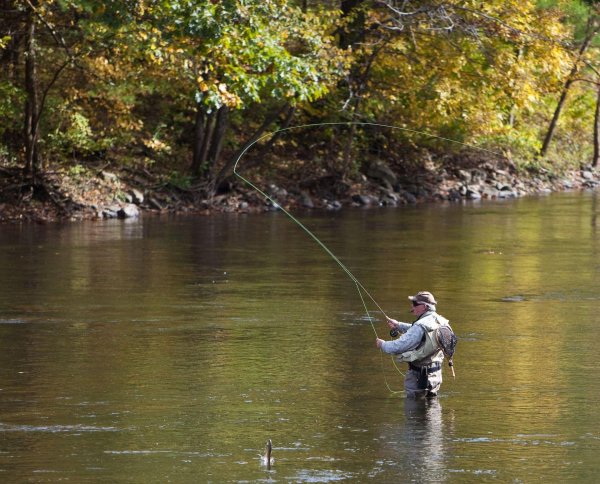 река осенка рыбалка