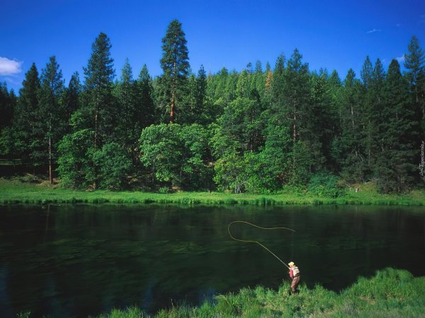 нахлыст заброс