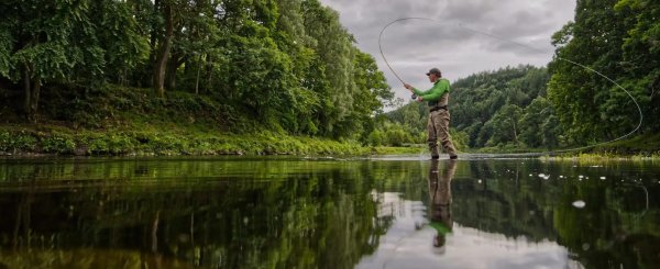 ловля нахлыст