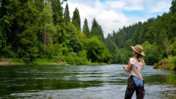 рыбалка удочки
