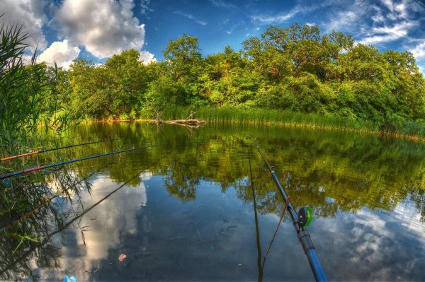 рыбалка летом