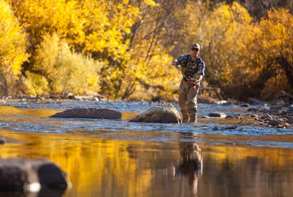 летняя рыбалка